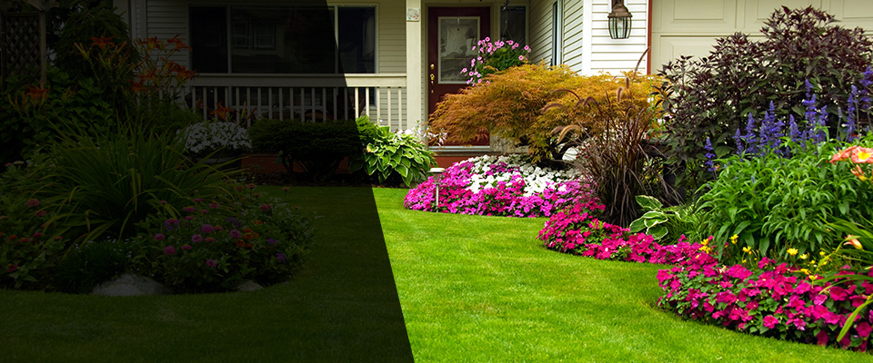 Rainier Landscapers